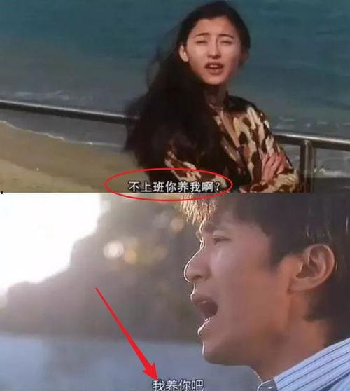 我养你啊视频,爱情与责任的深情告白