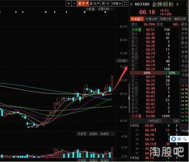 股市讲解视频,揭秘投资之道与实战技巧