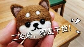 戳戳乐视频,趣味互动，畅享欢乐时光