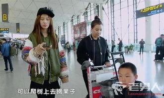 变形计视频完整版,揭秘城乡少年蜕变之旅