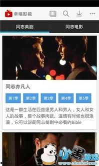 同志视频下载,探索多元文化的视听盛宴