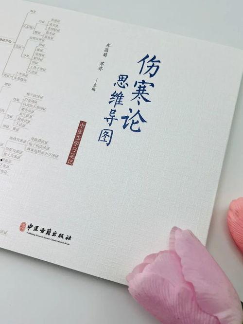伤寒论视频,伤寒论核心内容精粹解析