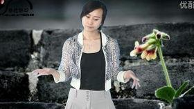 歌曲国家手语视频教学,共筑无障碍沟通桥梁