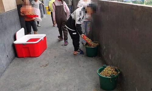 吃瓜最新事件爆料村委会,吃瓜群众最新爆料事件全解析