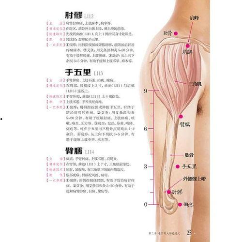 人体穴位视频,探寻养生保健的奥秘