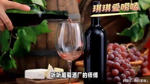 喝红酒视频,跟随视频领略佳酿魅力