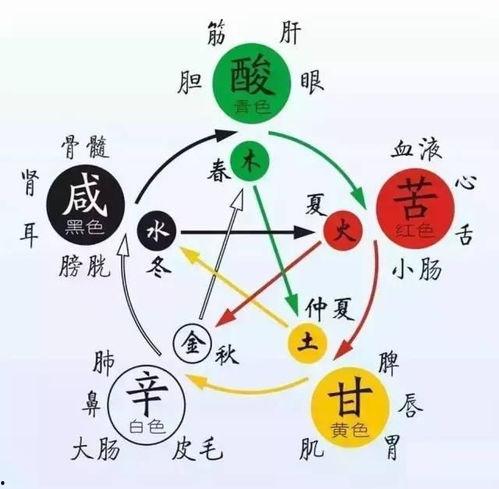 五行视频,揭秘宇宙间和谐共生的奥秘