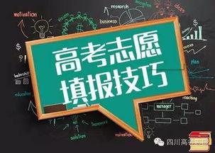 高考报考视频,揭秘视频中的关键信息与策略