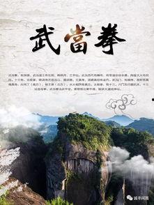 武当拳视频,传承千年的武术瑰宝