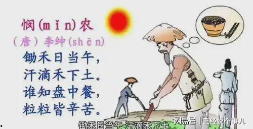 锄禾日当午视频,农耕生活的真实写照