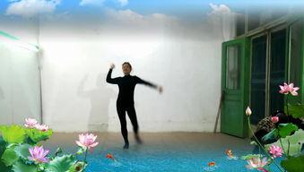莲舞蹈视频,探寻古典美韵的舞蹈艺术魅力