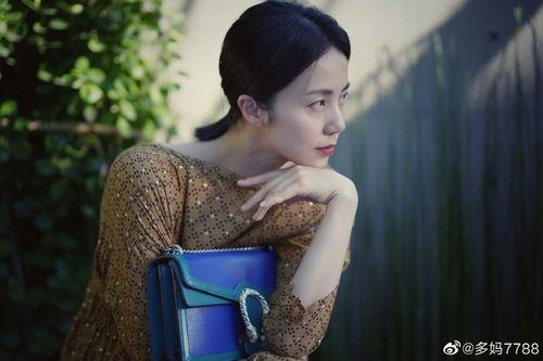 孙莉视频,揭秘明星家庭生活点滴