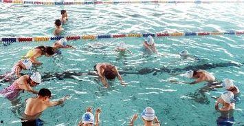 教游泳视频,跟随专业视频教程，掌握水上技巧