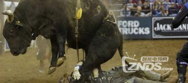 牛大视频,揭秘生活趣味，畅享欢乐时光