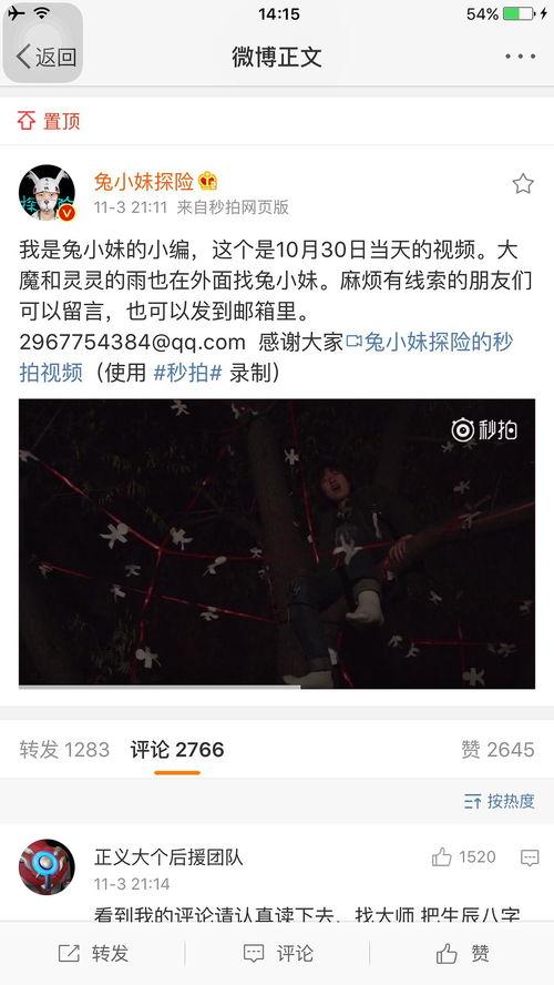 兔小妹视频,趣味横生的萌宠日常