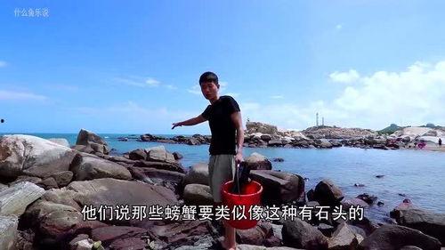 海边抓螃蟹视频,跟随镜头探寻螃蟹的神秘世界