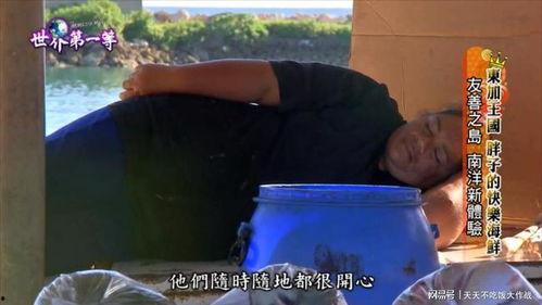 胖人视频,揭秘肥胖人群的健身与生活新篇章