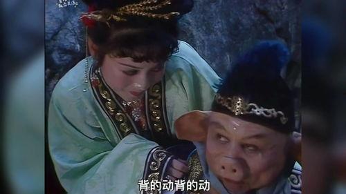 猪八戒背媳妇 视频,趣味横生的奇幻之旅