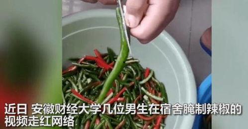 腌制辣椒的视频,美味秘诀大公开