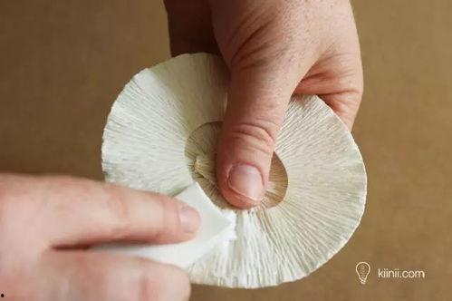 折蘑菇视频,揭秘蘑菇折叠技巧与创意玩法