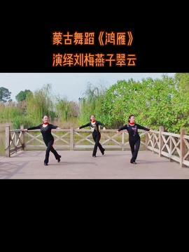 舞蹈鸿雁视频,一场视觉与情感的盛宴
