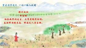 唐诗朗读视频,视频朗读赏析