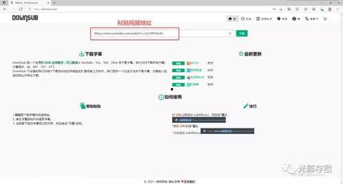 视频地址下载,[视频地址]背后的精彩故事