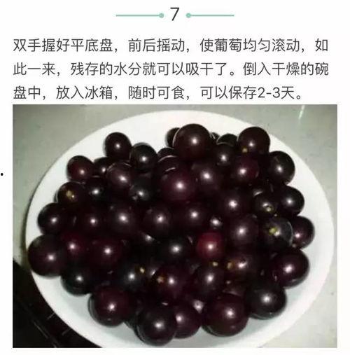 皮虫视频,揭秘昆虫世界的奇妙与奥秘