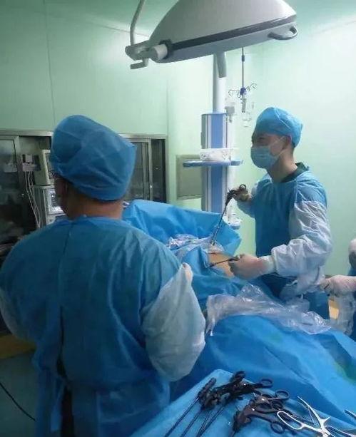 胆囊切除视频,直观视频解析