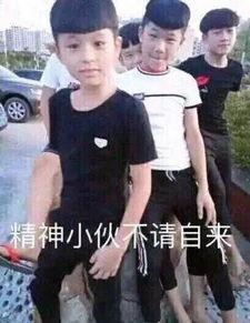 社会人视频,揭秘现实生活中的真实百态
