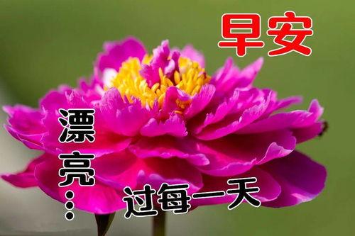 早上好图片大全,精选早上好图片大全