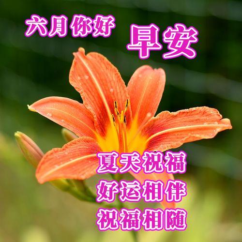 早上好图片大全,精选早上好图片大全