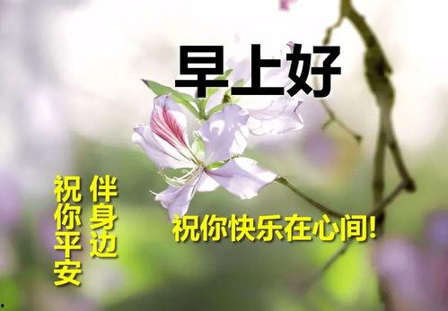 早上好图片大全,精选早上好图片大全
