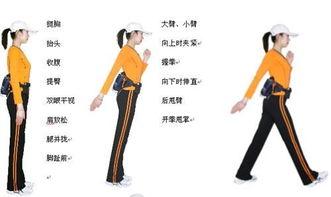 快走正确姿势视频,视频教程详解