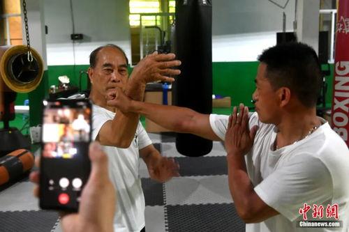 鹤拳教学视频,跟随教学视频领略传统武术风采