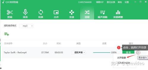 提取视频音乐,音乐概述