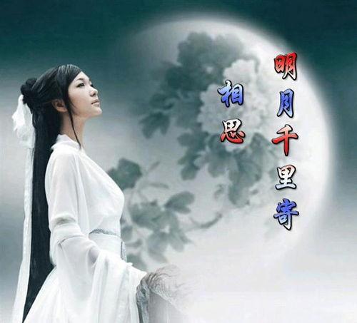 望月视频,揭秘月相变化与天文奥秘