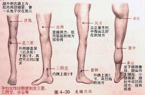 腿部按摩手法视频教程,轻松掌握专业按摩手法