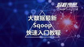 大数据视频教程,深度解析数据时代的核心技能与实战应用