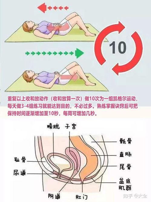 盆底肌修复视频,视频教程带你轻松恢复产后健康