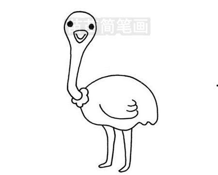 鸵鸟图片大全大图,大图全景下的自然王者