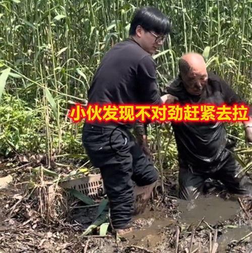 深陷泥潭视频,一场视觉与心灵的挑战