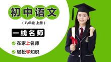 初二教学视频,知识拓展与能力提升