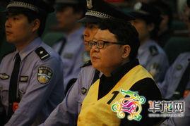 文强视频,权力背后的真相与反思