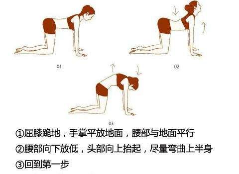 盆底肌锻炼视频,轻松掌握居家塑形秘籍
