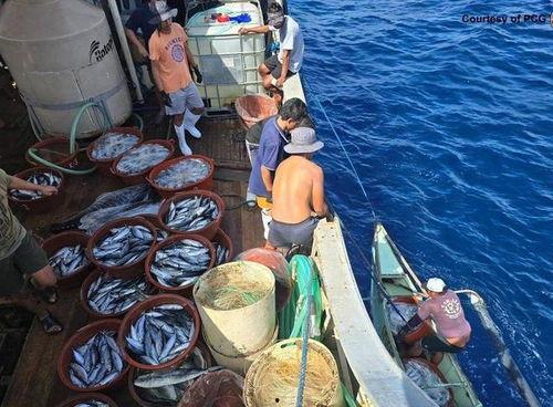 海上捕鱼视频,惊险刺激的海洋捕捞瞬间