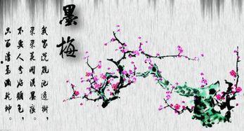 墨梅古诗视频,探寻诗意梅花之美