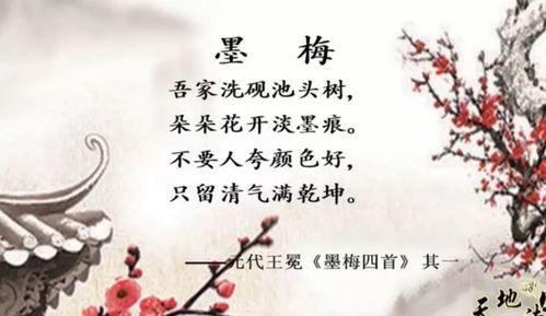 墨梅古诗视频,探寻诗意梅花之美
