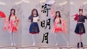 天下舞蹈视频,探寻舞蹈艺术的魅力与传承